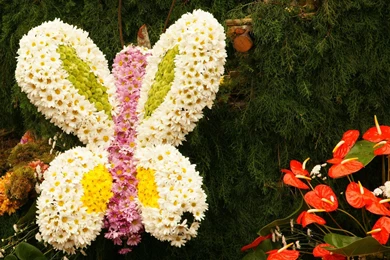 3D 1080p Wallpapers : Other Wallpapers   Ngantukan.com