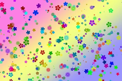 Colorful Flowers Desktop