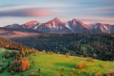 Nature, Landscape, Morning, Sunrise, Mountain, Snowy Peak, Forest ...