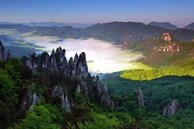 Landscape, Mountains, Rocks, Forest, Valley, Mist, Village ...